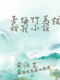 青梅竹马校霸的甜宠小说