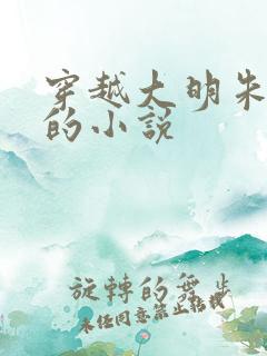 穿越大明朱高煦的小说