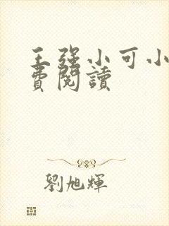 王强小可小说免费阅读