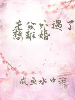 老公外遇了我不想离婚