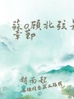 苏o顾北弦最新章节