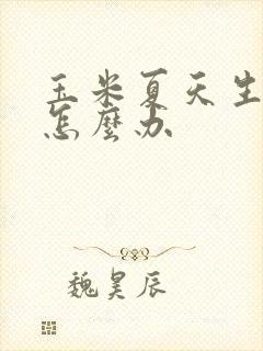 玉米夏天生虫子怎么办