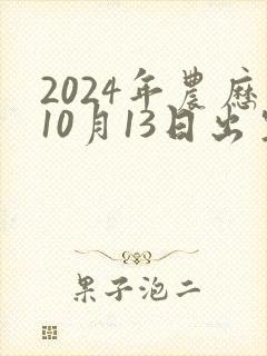 2024年农历10月13日出生的生辰八字