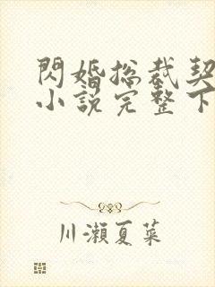 闪婚总裁契约妻小说完整下载