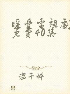 暖爱电视剧全集免费40集