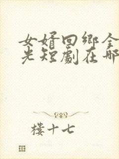 女婿回乡全村风光短剧在哪里可以看