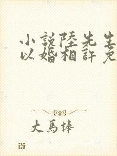 小说陆先生偏要以婚相许免费阅读