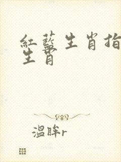 红蓝生肖指什么生肖