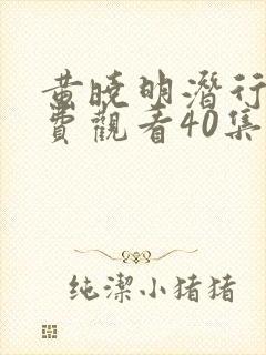 黄晓明潜行者免费观看40集