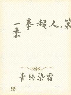 一拳超人,第三季