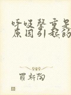 呼吸声重是什么原因引起的