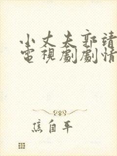小丈夫郭靖黄蓉电视剧剧情介绍