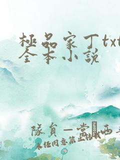 极品家丁txt全本小说