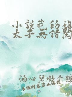 小说我的姐夫是太子无错阅读