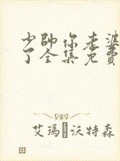 少帅你老婆又跑了全集免费阅读