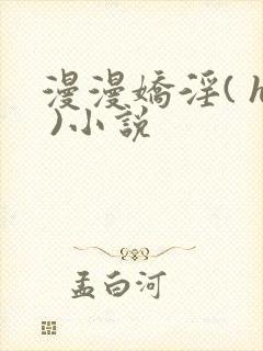 漫漫娇淫( h )小说