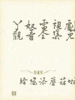 丫奴电视剧在线观看全集免费播放