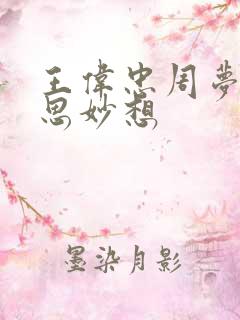 王伟忠周梦莹奇思妙想