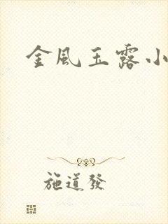 金风玉露小说版