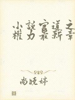 小说官道之绝对权力最新章节列表最