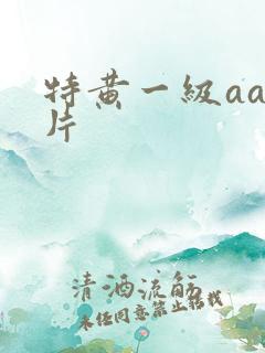 特黄一级aaa片