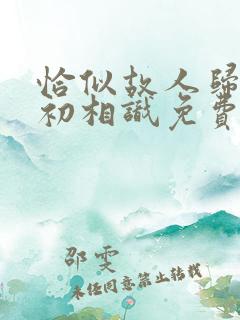 恰似故人归与君初相识免费看
