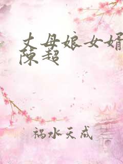 丈母娘女婿小说陈超