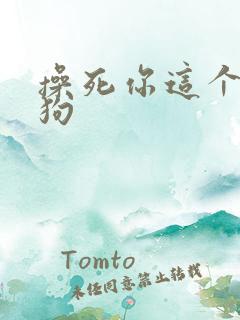 操死你这个骚母狗