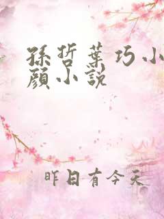 孙哲叶巧小妈朱颜小说