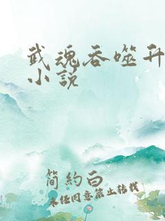 武魂吞噬升级的小说