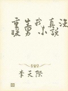重生我真没想当暖男 小说