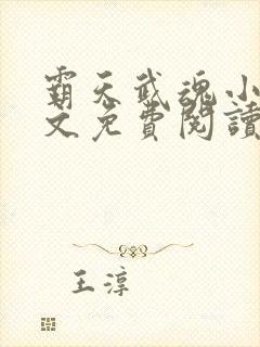 霸天武魂小说全文免费阅读