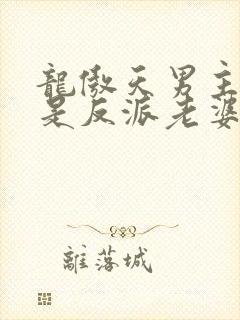 龙傲天男主就该是反派老婆