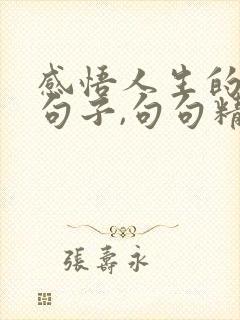 感悟人生的哲理句子,句句精辟