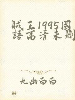 贼王1995国语高清未删减版137分钟免费观看