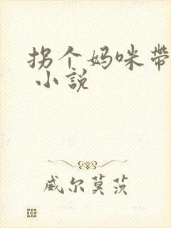 拐个妈咪带回家 小说