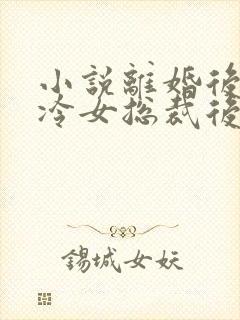 小说离婚后,高冷女总裁后悔了