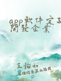 app软件定制开发企业