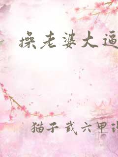 操老婆大逼