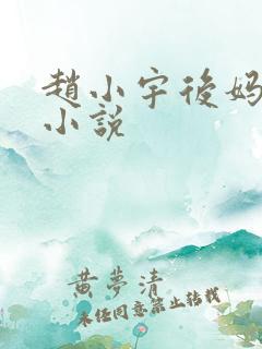 赵小宇后妈晴姨小说