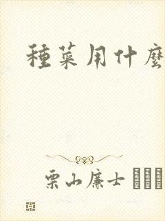 种菜用什么肥好