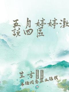五月婷婷激情小说四区
