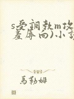 s受调教m攻(羞辱向)小说