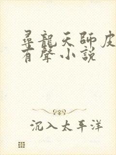 寻龙天师皮剑青有声小说