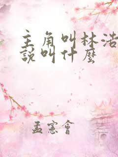 主角叫林浩的小说叫什么