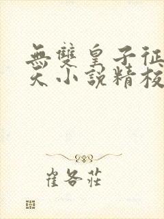 无双皇子征战诸天小说精校版txt