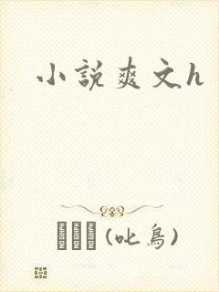 小说爽文h