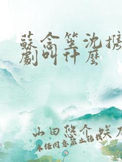 苏念笙沈携西短剧叫什么