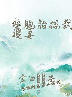 双胞胎总裁虐心追妻