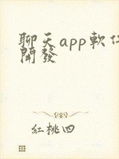 聊天app软件开发